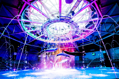 マクセルアクアパーク品川（イメージ・別料金）