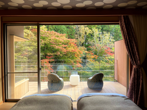 半露天風呂付客室からの眺望（イメージ）