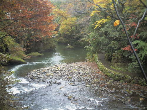渓流野天風呂からの眺め（秋）