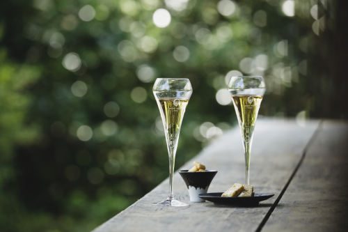 ガーデンディライト（イメージ）