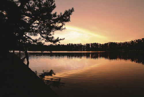 天橋立に昇る朝日