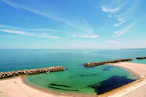 客室からの眺望（イメージ）