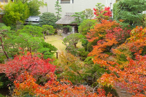 庭園（秋頃）